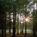 Laura Picklesimer - Facebook