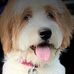 Laura Masis Pifer - Facebook