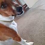 Laura Pinney - @laura.a.pinney - Instagram