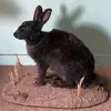 laura.aa.pinney - @laura.pinneyy - TikTok