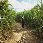 @laura.plantas - Instagram