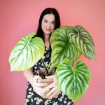 Laura | Plant Experiments & Styling | - @fanciplants - Instagram