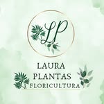 Laura Plantas - @floriculturalauraplantas - Instagram