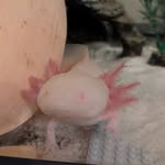 Laura Plumb - @lplumb707 - Instagram