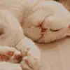 Laura - @laura.polish1234 - TikTok