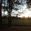 Laura Prigge742 - @lauraprigge0 - TikTok