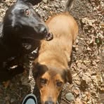 Laura Prost - Facebook