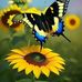 Lori Pulver - Facebook
