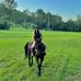 Laura Purvis Colquhoun - Facebook