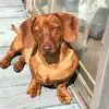 Laura Putman - @laura.putman - TikTok