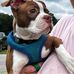 Laura Rainbolt - Facebook