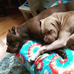 laura raley - @wvbubba3 - Instagram