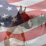 Laura Rambo - @rambox99 - Instagram