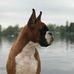 Laura Rambo - Facebook