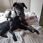 Laura Rambo dos santos - @zoe_e_eloa - Instagram