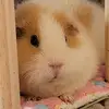 laurarambo86 - @laurarambo86 - TikTok