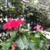 Laura Randazzo - Facebook