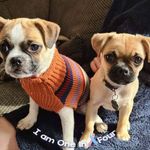 Laura Reader - @laura.reader.58 - Instagram