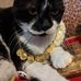 Laura Tarot Reader - Facebook