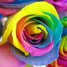 Laura Redding - @user141855199 - TikTok