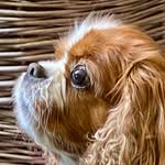 Laura Rees - @lhrees321 - Instagram