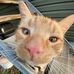Laura Reichenbach - Facebook
