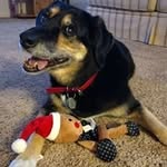 Laura Reiff - @psureiffl43 - Instagram