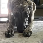 Laura Reiff Salemi - @l_reiffsalemi - Instagram
