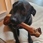Laurie Caton Rexroad - @locaton34 - Instagram