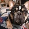 laurarickey272 - @laurarickey272 - TikTok