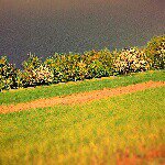 Laura Riedel - @einfach_nur_ich_selber - Instagram