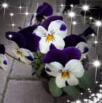 Laura Riedel - Facebook