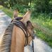 Laura Riggs - Facebook