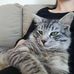 Laura Ringhofer - Facebook