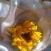 Laura Roberto - Facebook