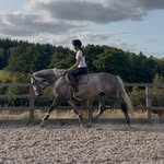 Laura Robson - @laurarobsonequestrian - Instagram