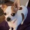 laura79rohrer - @laura79rohrer - TikTok