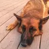 lauraromine773 - @lauraromine773 - TikTok