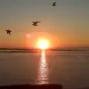 lauraronk4 - @lauraronk4 - TikTok
