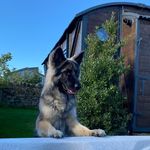 Laura Rowley - @loz_ruk - Instagram