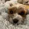 Laura Rowley - @laura.rowley98 - TikTok