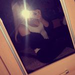 Laura Rundle - @laurarundle__708 - Instagram