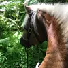 Laura Ryan - @lauraryan34 - TikTok