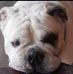 Laura Sala - Facebook
