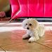 Laura Sala - Facebook