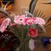 Laura Salerno - Facebook