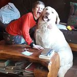 Diana Laura Salzman - @dianalaura.salzman.9 - Instagram