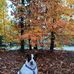 Laura Schaub - Facebook