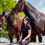 Laura Scheidt - @laurascheidt.pferdeosteopathie - Instagram