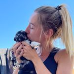 Laura Scheuer | Tierschutz | Das schwarze Schaf - @lauraashelter - Instagram